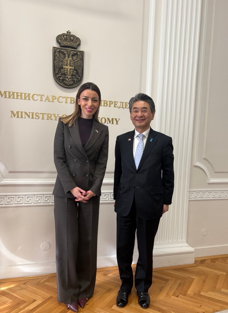 Mesarovic i ambasador